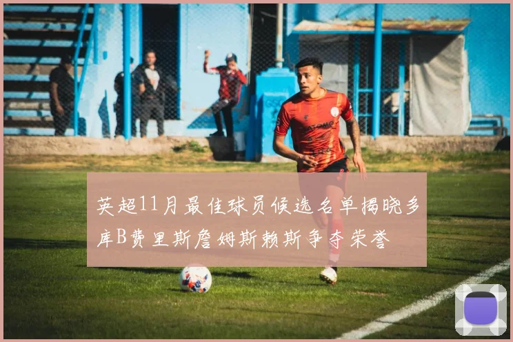 英超11月最佳球员候选名单揭晓多库B费里斯詹姆斯赖斯争夺荣誉