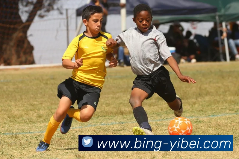 易倍体育服务体系