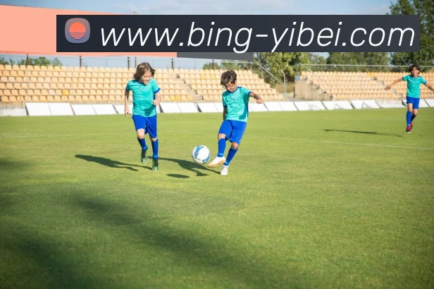 易倍体育APP 体育赛事宣传图